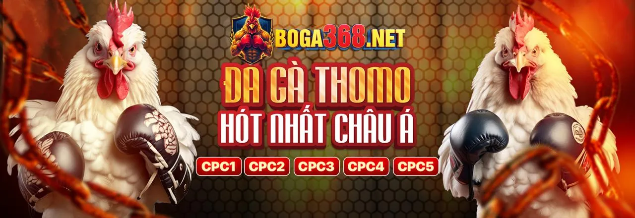 Đá Gà Trực Tuyến Sodo16